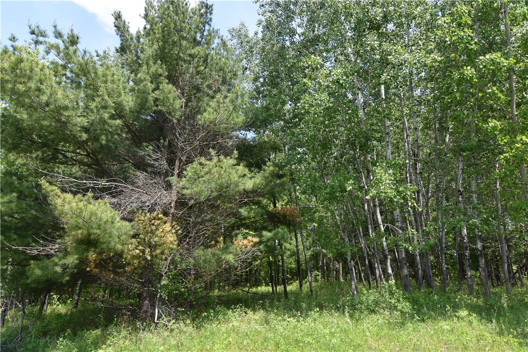 Lot 6 151st Street Property Photo 22