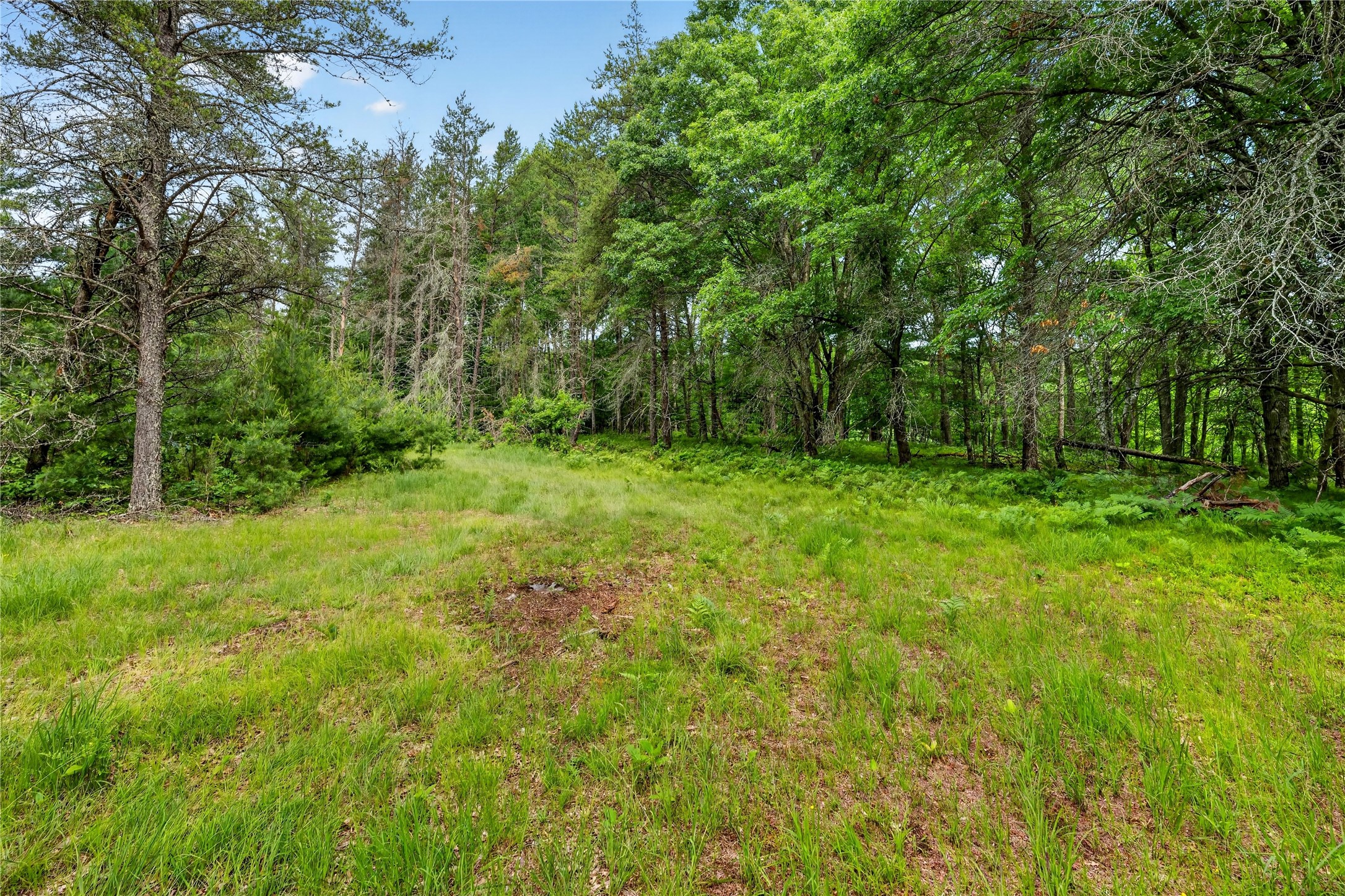 0 Loon Lake Road Property Photo 2