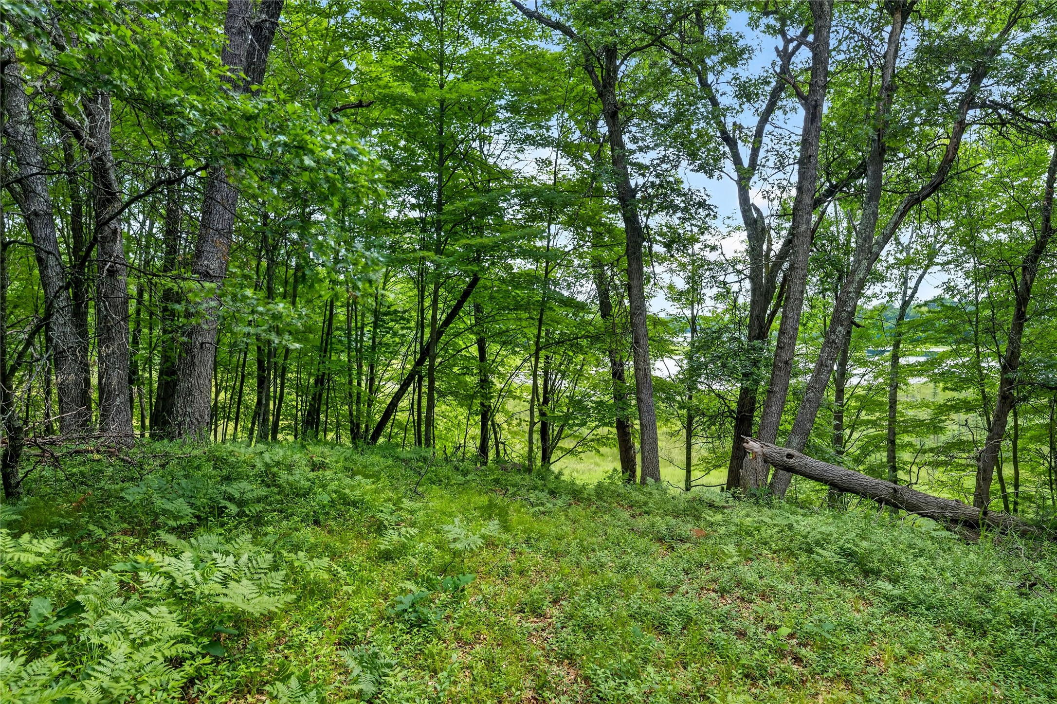 0 Loon Lake Road Property Photo 3