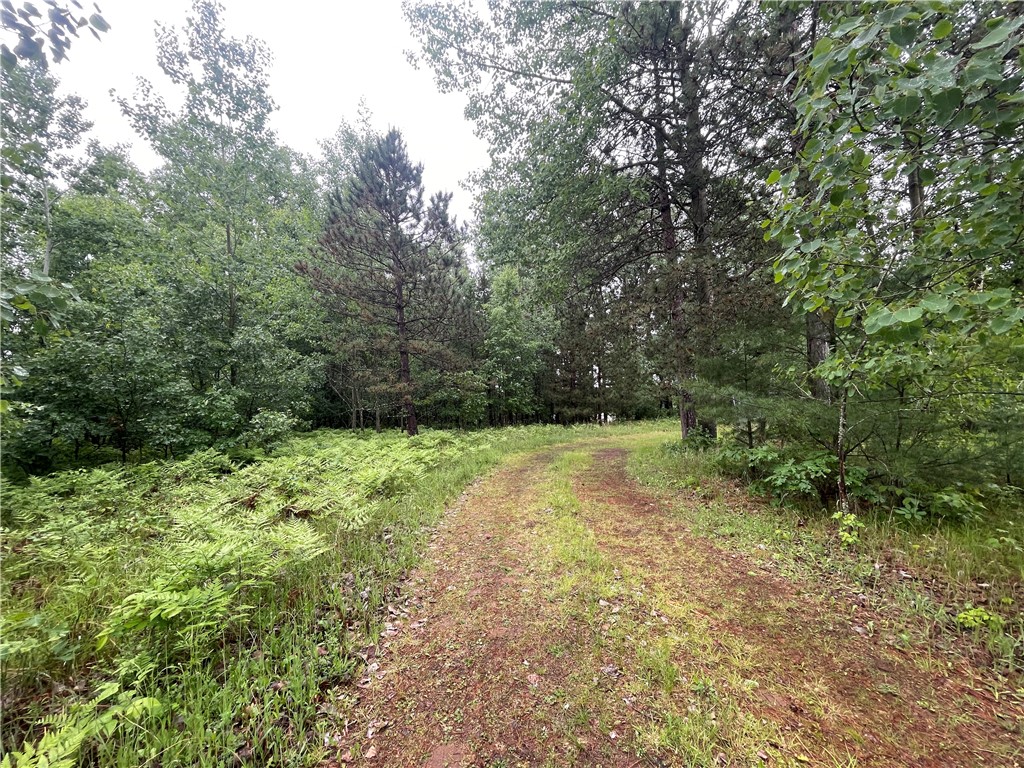 0 Loon Lake Road Property Photo 5