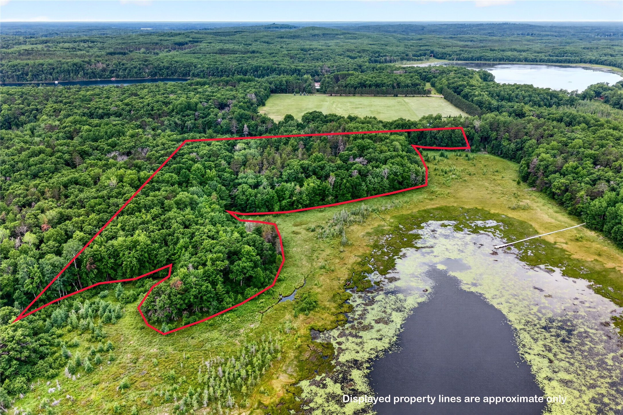 0 Loon Lake Road Property Photo 6