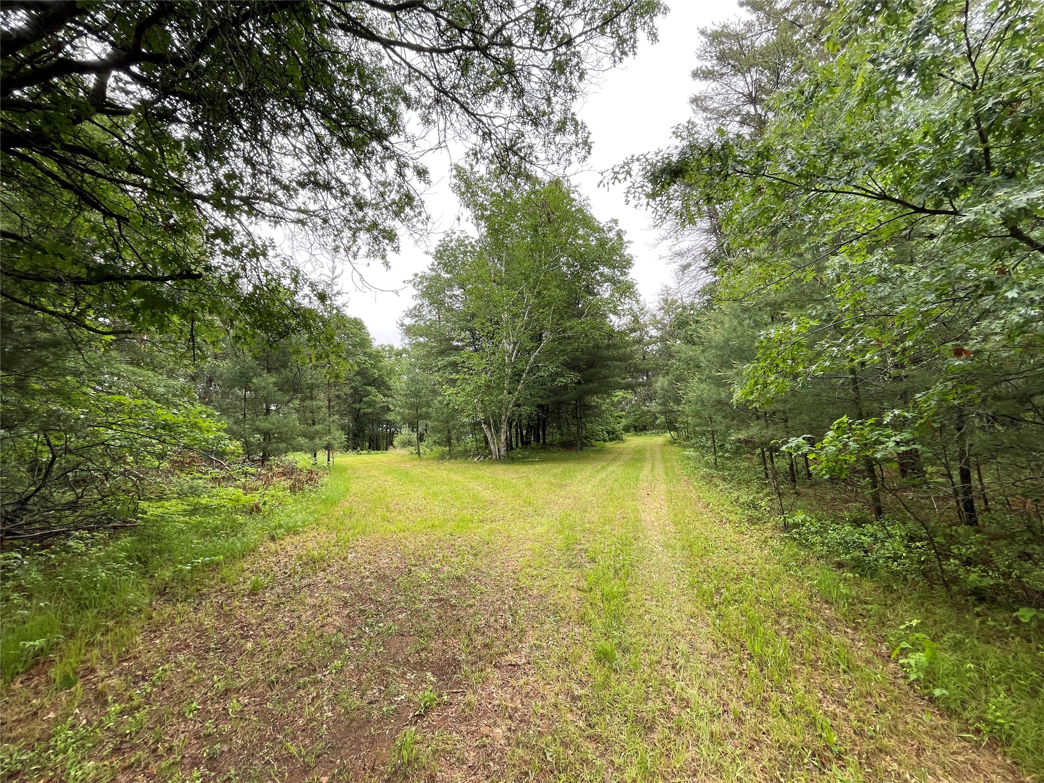0 Loon Lake Road Property Photo 8