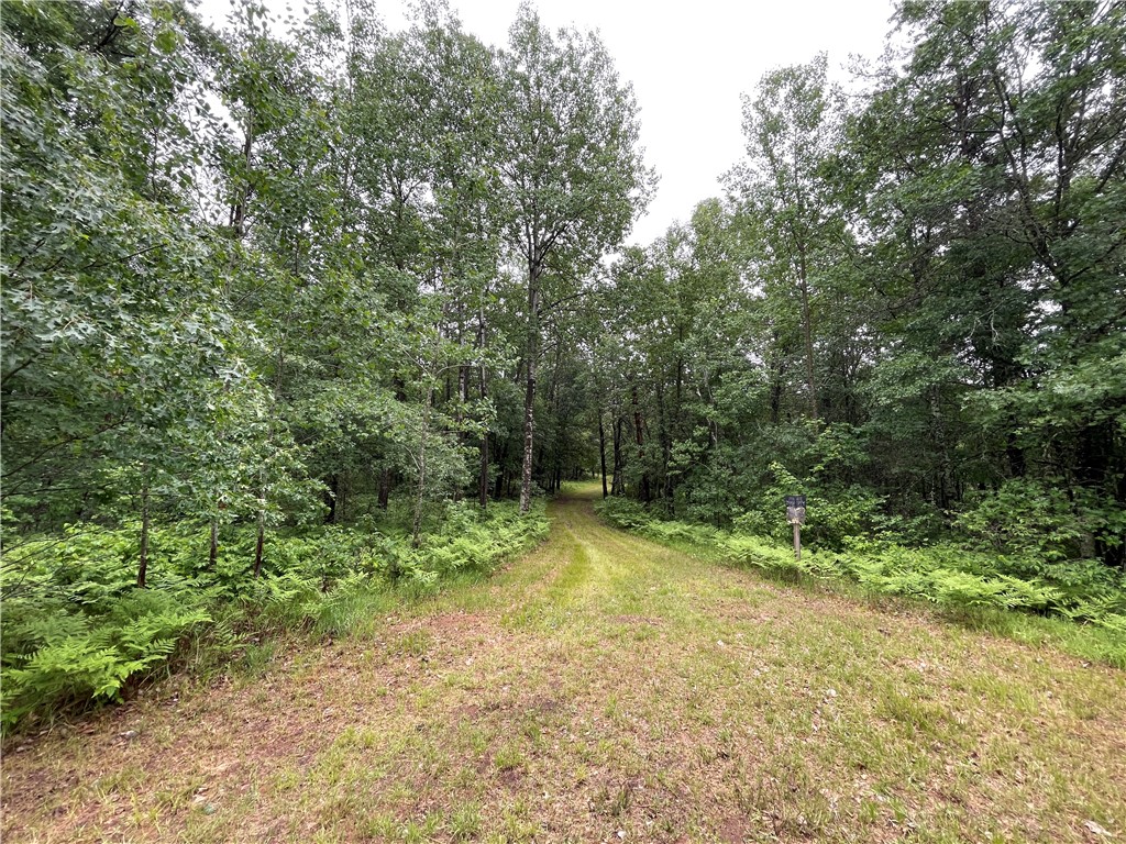 0 Loon Lake Road Property Photo 9