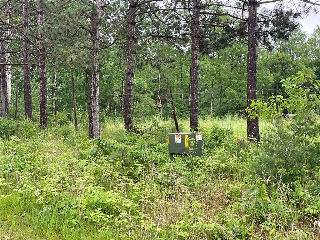 0 Loon Lake Road Property Photo 11