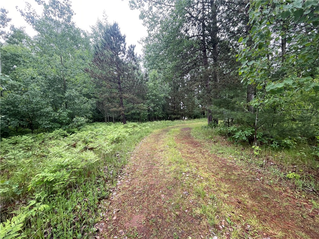 0 Loon Lake Road Property Photo 12