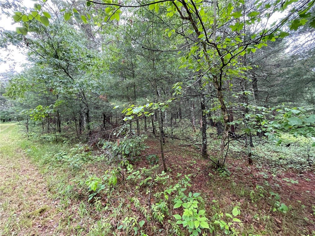 0 Loon Lake Road Property Photo 13