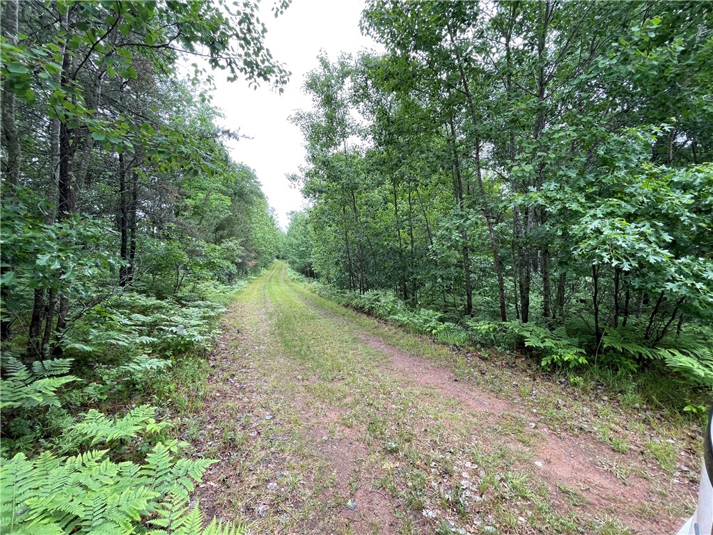0 Loon Lake Road Property Photo 14