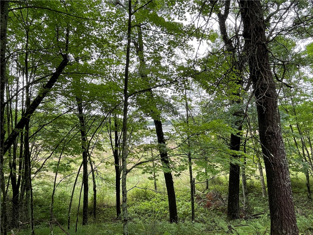 0 Loon Lake Road Property Photo 15