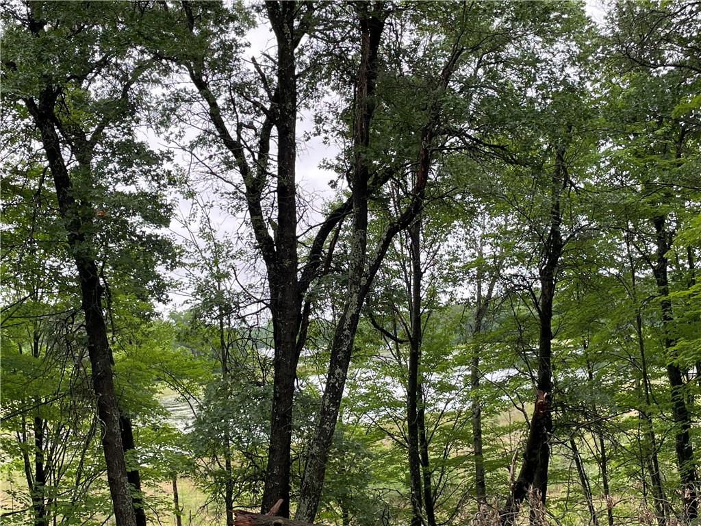 0 Loon Lake Road Property Photo 16