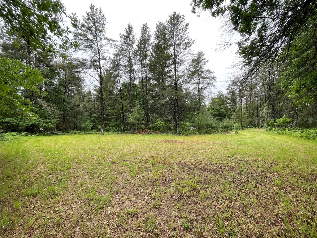 0 Loon Lake Road Property Photo 17