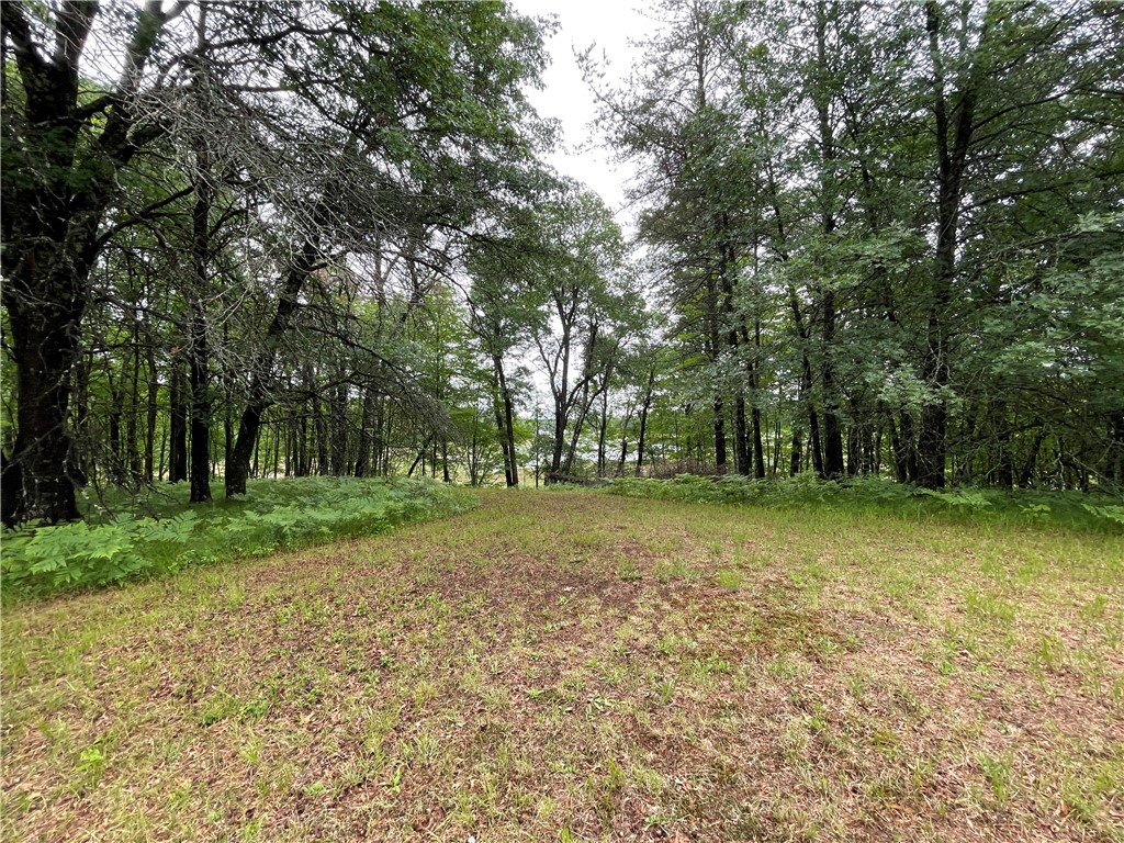 0 Loon Lake Road Property Photo 18