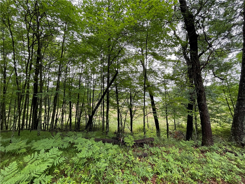0 Loon Lake Road Property Photo 19
