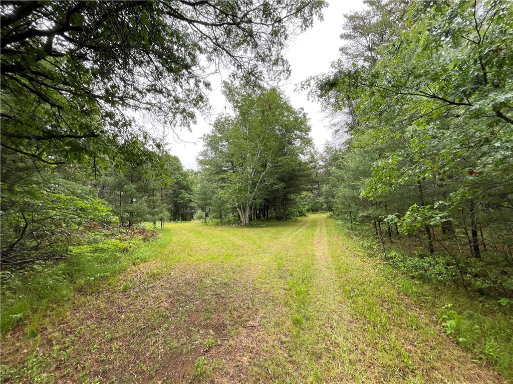 0 Loon Lake Road Property Photo 20