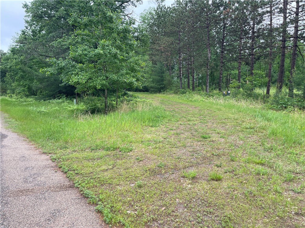 0 Loon Lake Road Property Photo 21