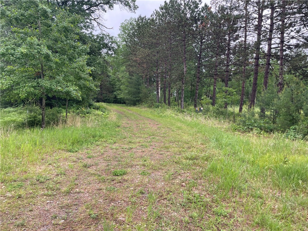 0 Loon Lake Road Property Photo 23