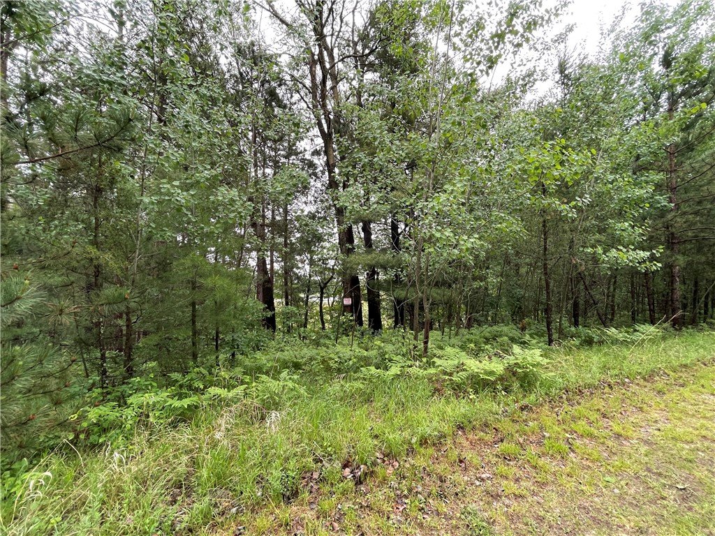 0 Loon Lake Road Property Photo 25
