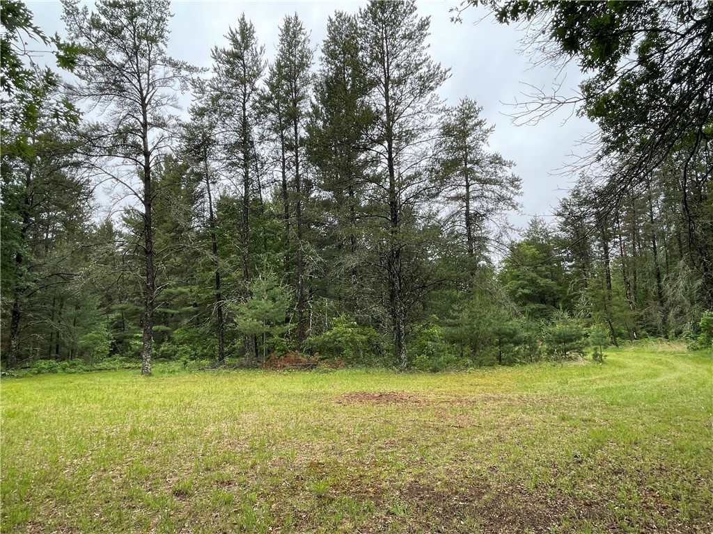 0 Loon Lake Road Property Photo 26