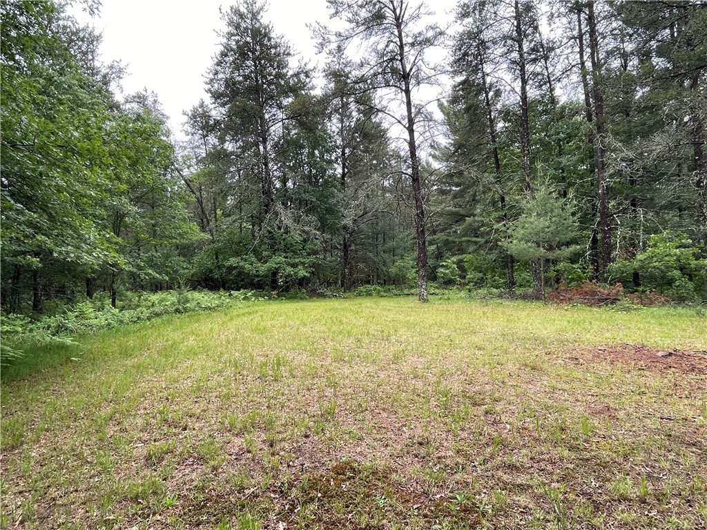 0 Loon Lake Road Property Photo 27