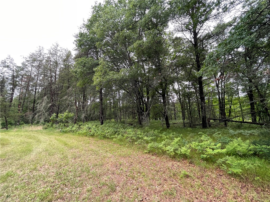 0 Loon Lake Road Property Photo 28