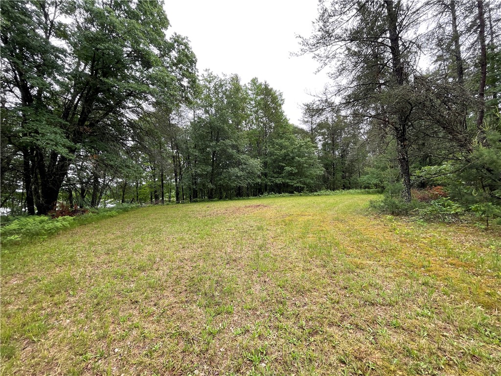 0 Loon Lake Road Property Photo 29