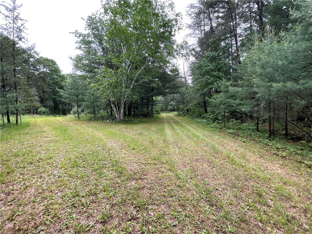 0 Loon Lake Road Property Photo 33