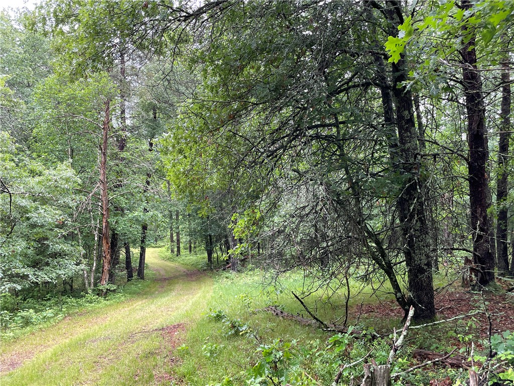 0 Loon Lake Road Property Photo 34