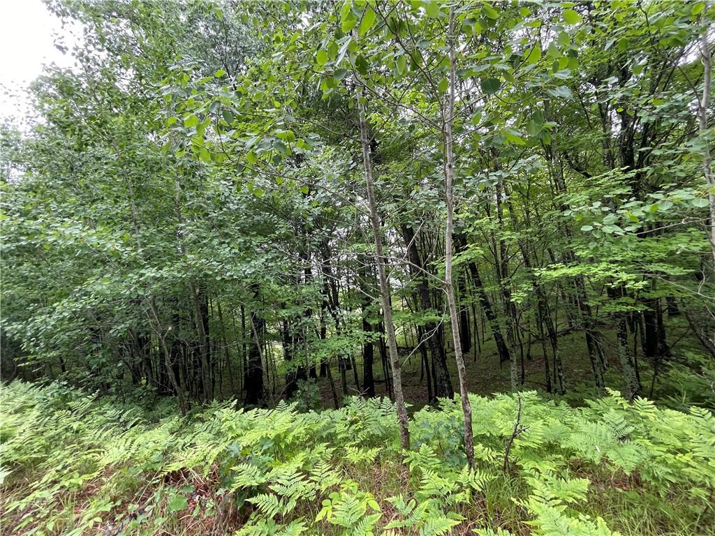0 Loon Lake Road Property Photo 35