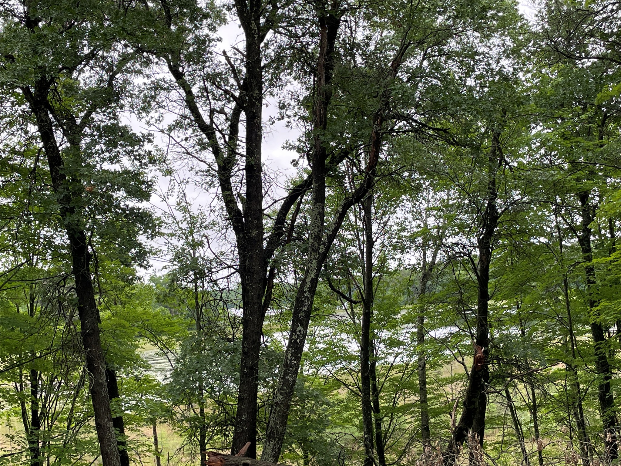 0 Loon Lake Road Property Photo 38