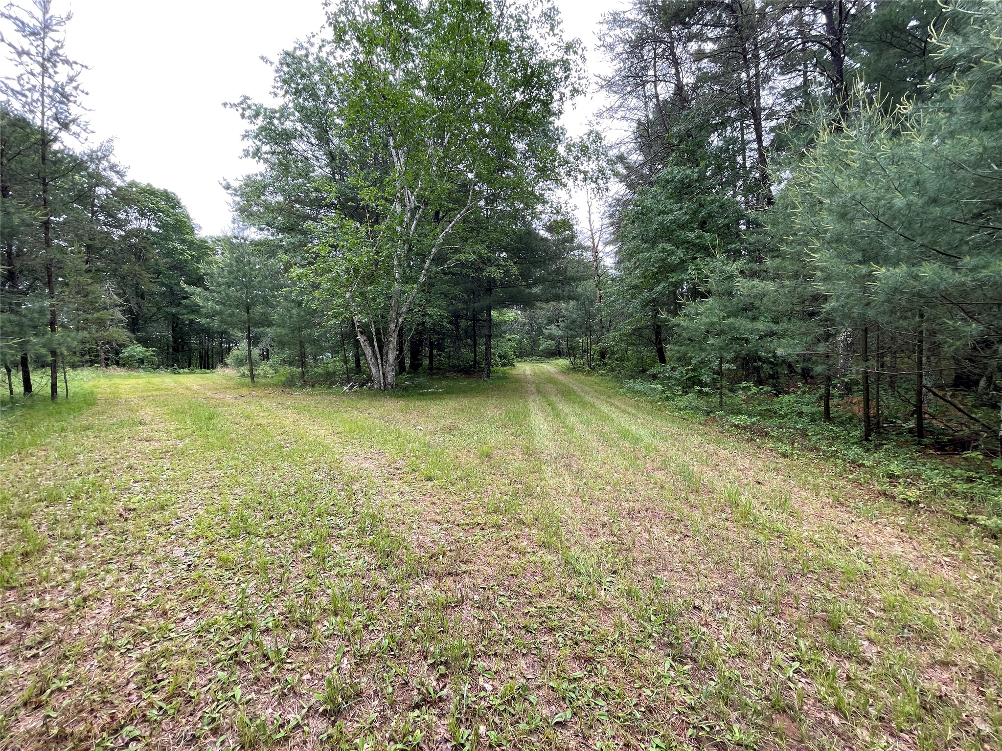 0 Loon Lake Road Property Photo 40