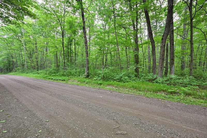 Lot 1 Chippewa Avenue Property Photo 1