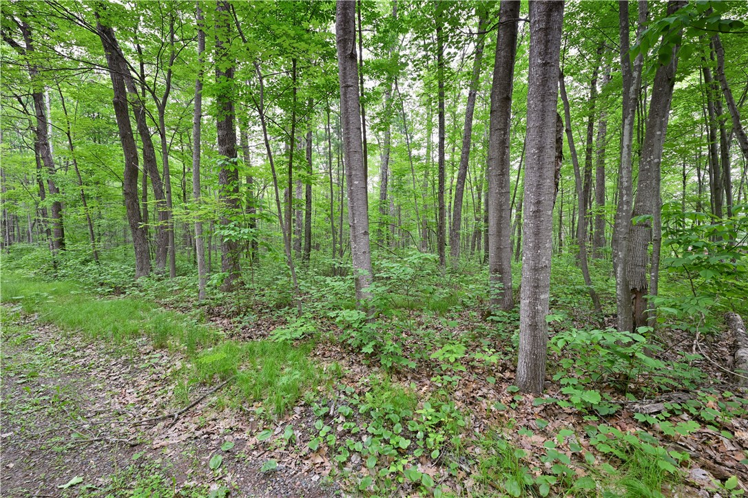 Lot 1 Chippewa Avenue Property Photo 2