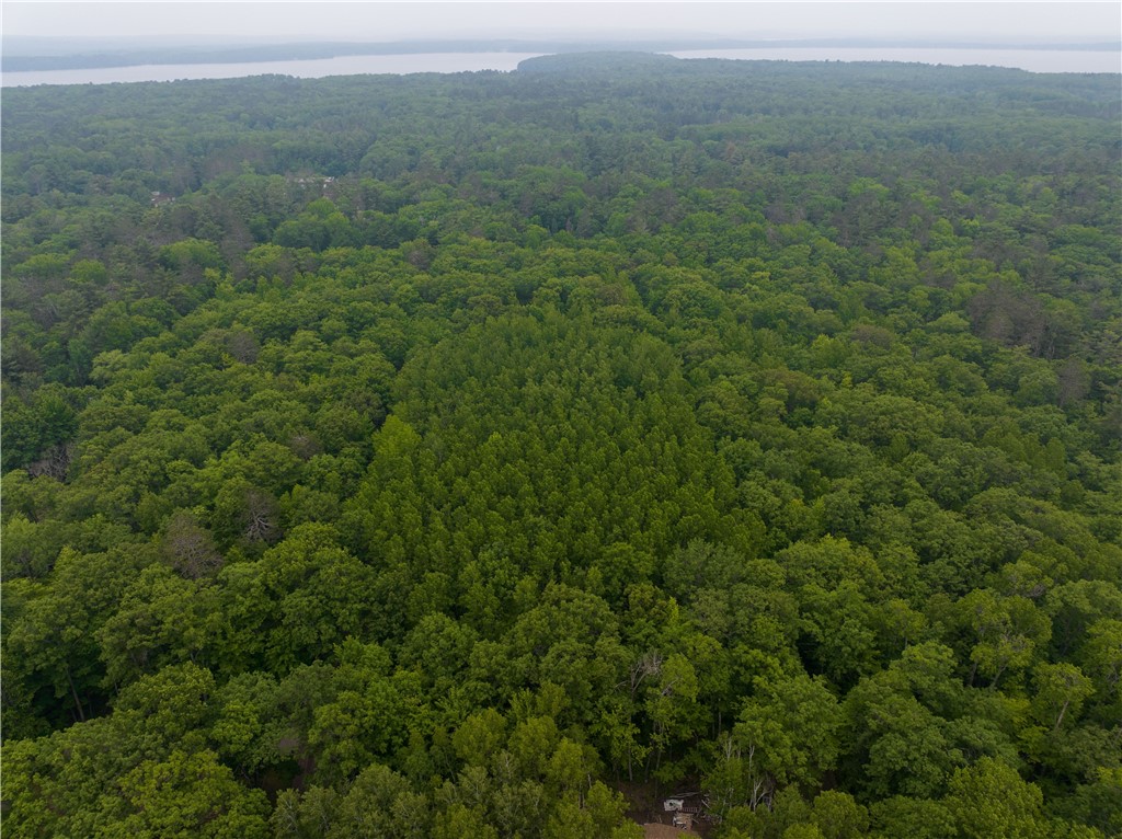 Lot 1 Chippewa Avenue Property Photo 7