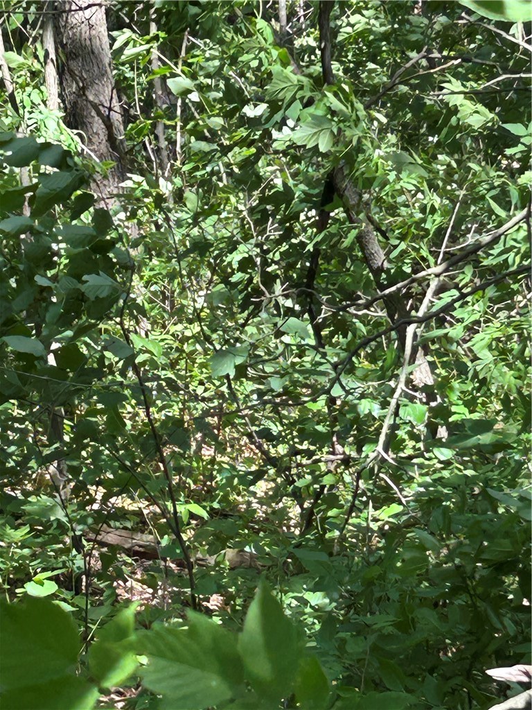 0000 Bernhardt Property Photo 4