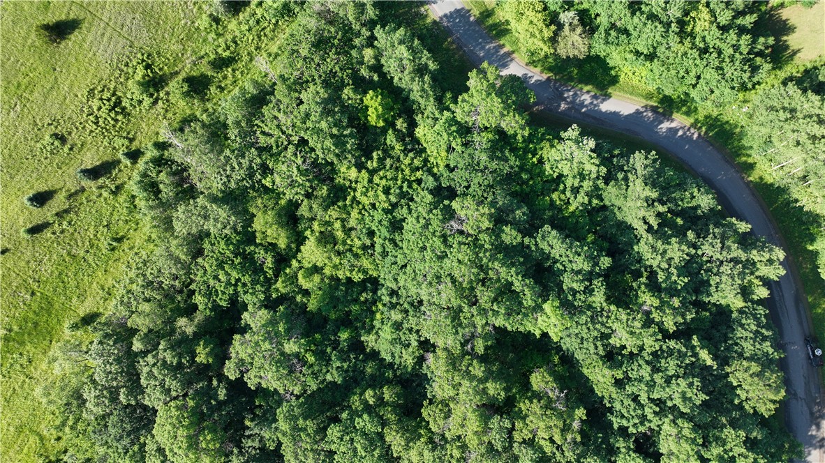 Lot 13 246th Property Photo 6