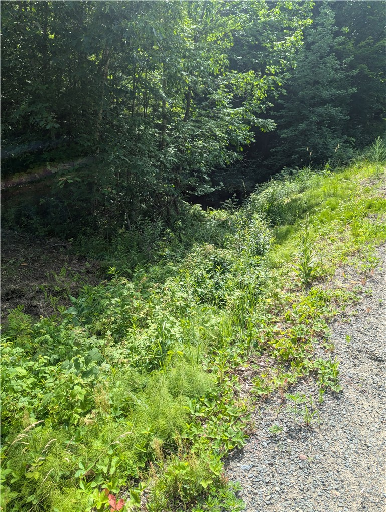 Lot 1 165th Avenue Property Photo 1