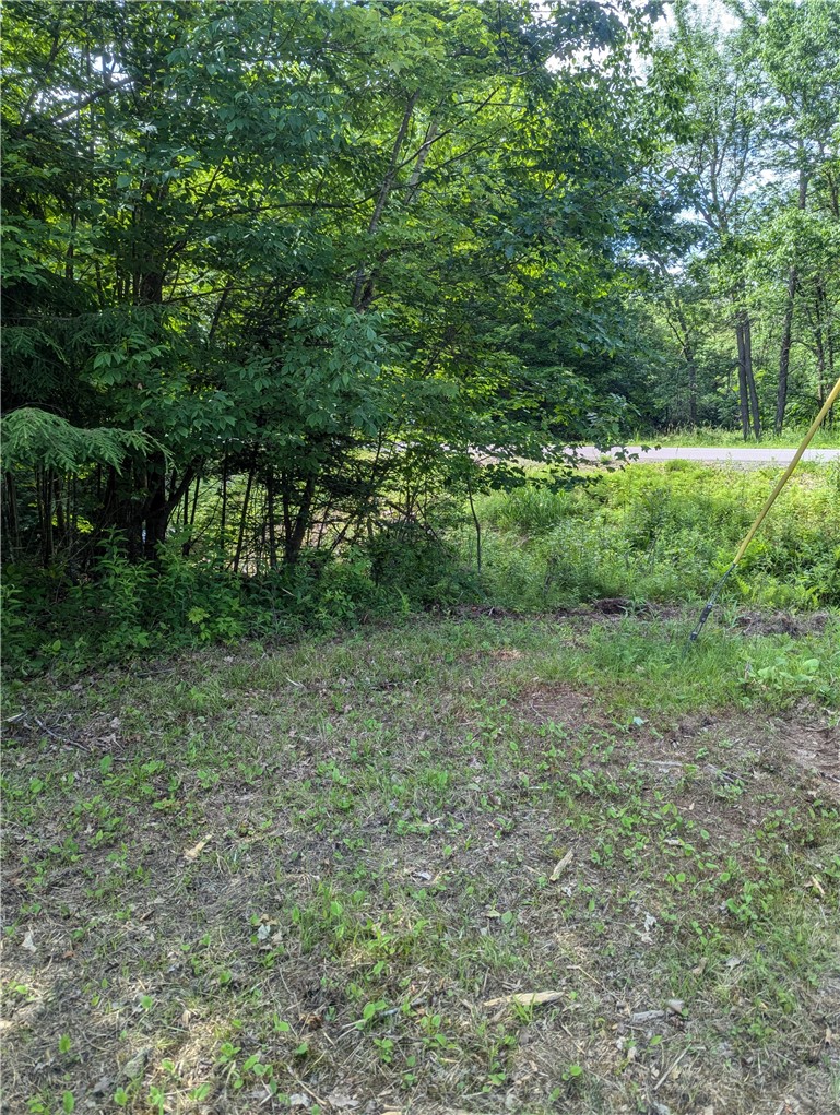 Lot 1 165th Avenue Property Photo 2