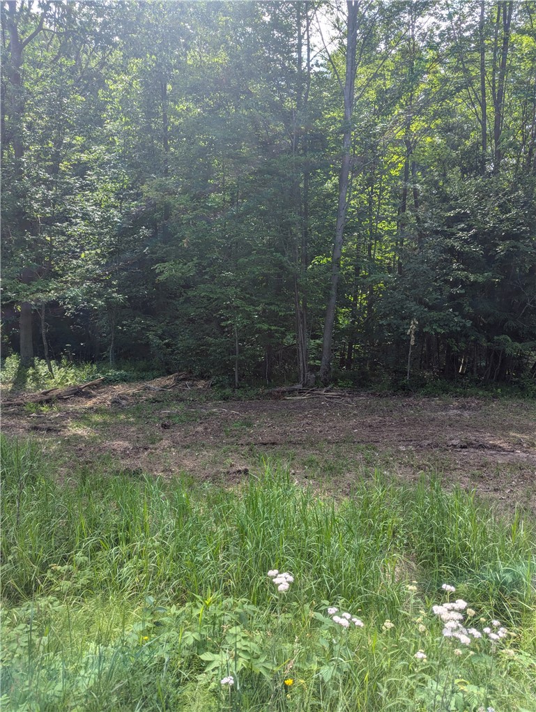 Lot 1 165th Avenue Property Photo 3