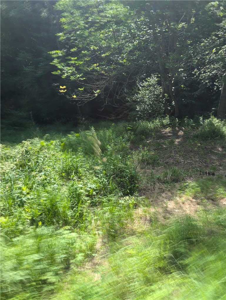 Lot 1 165th Avenue Property Photo 4