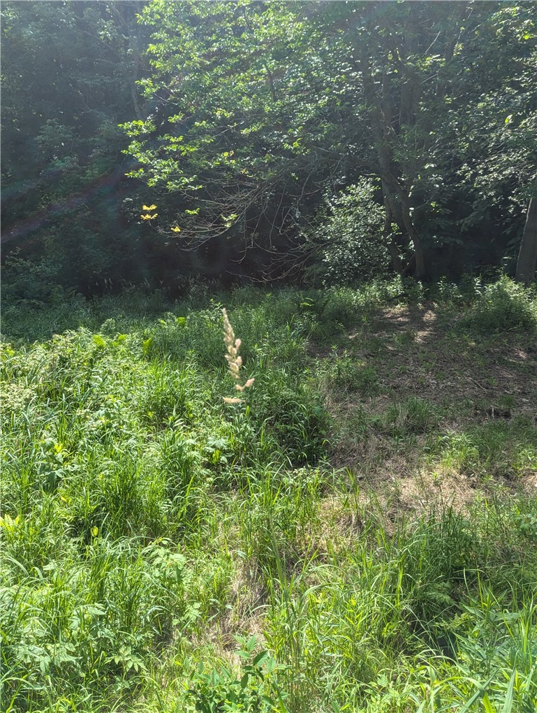 Lot 1 165th Avenue Property Photo 5