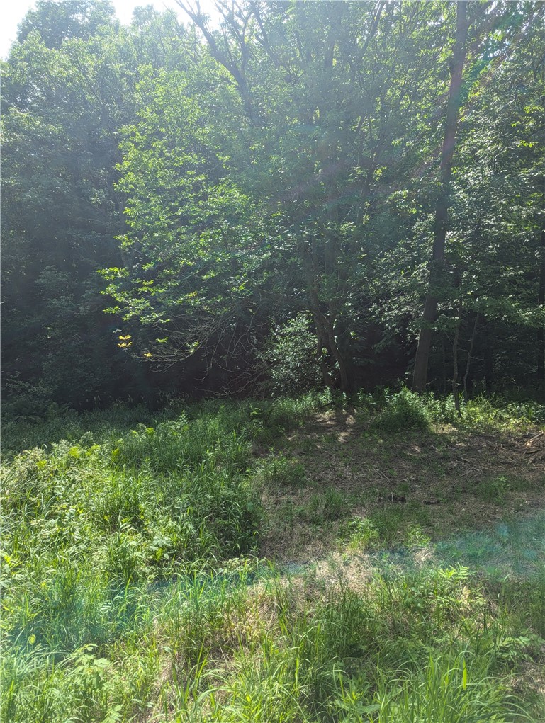 Lot 1 165th Avenue Property Photo 6