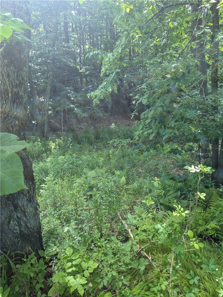 Lot 1 165th Avenue Property Photo 7