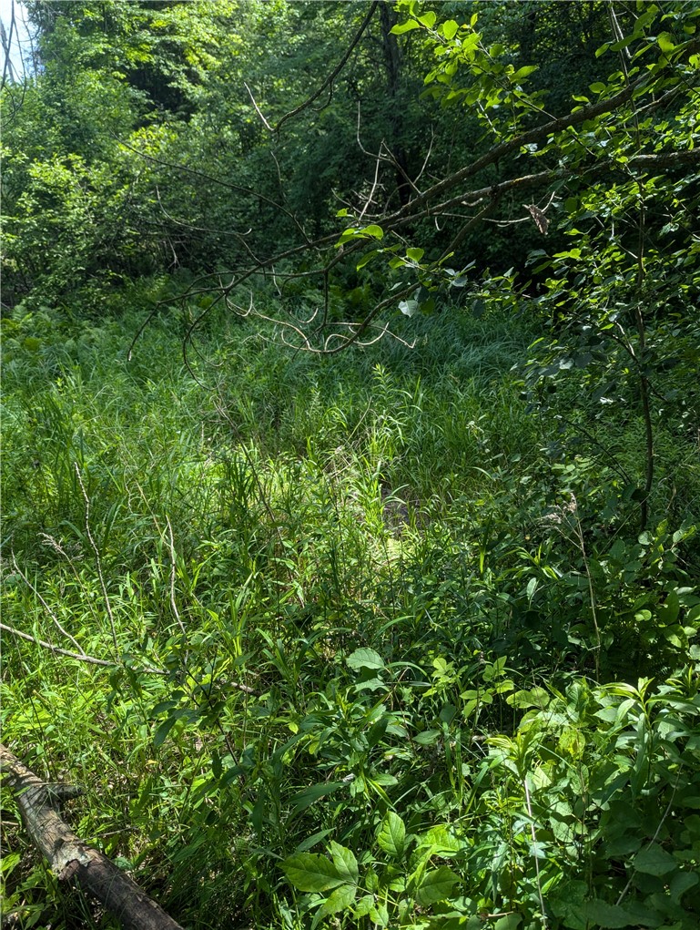 Lot 1 165th Avenue Property Photo 8