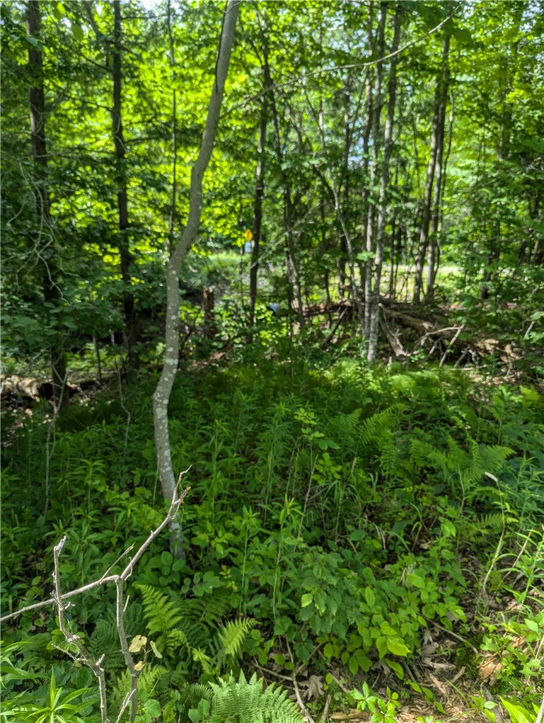 Lot 1 165th Avenue Property Photo 9