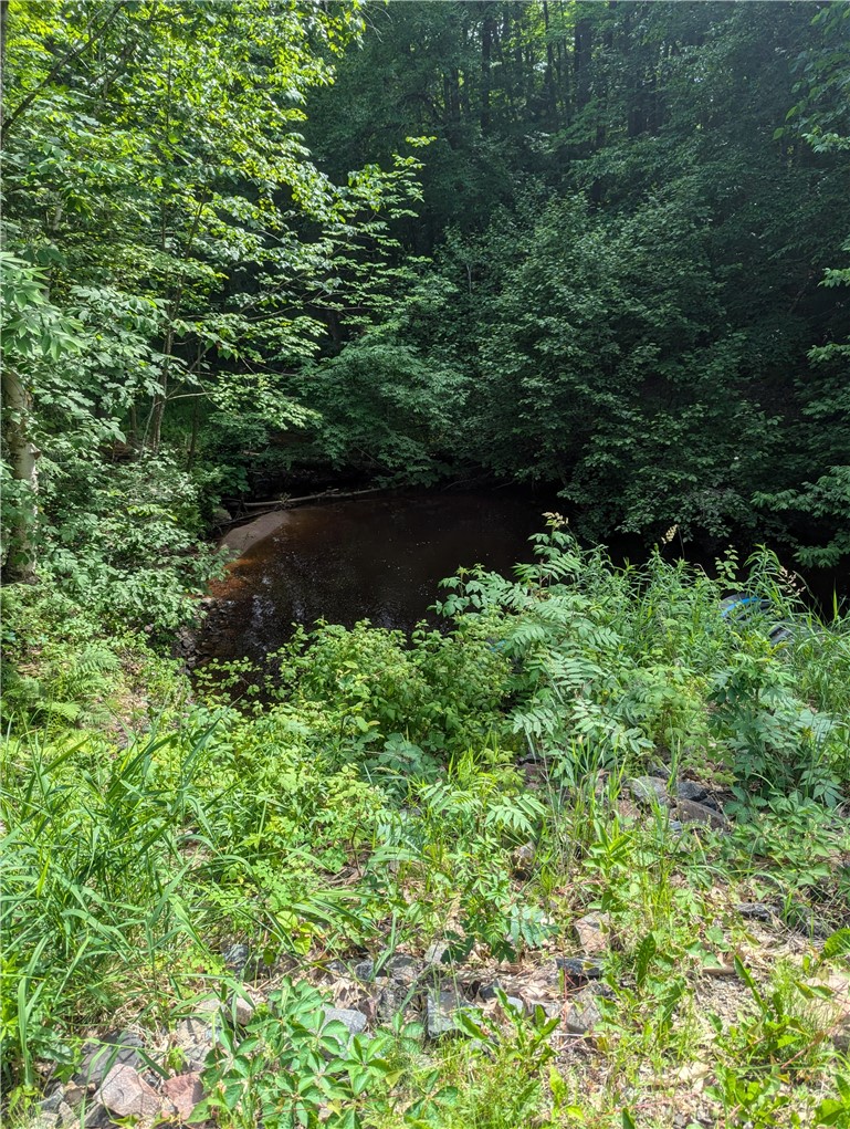 Lot 1 165th Avenue Property Photo 10
