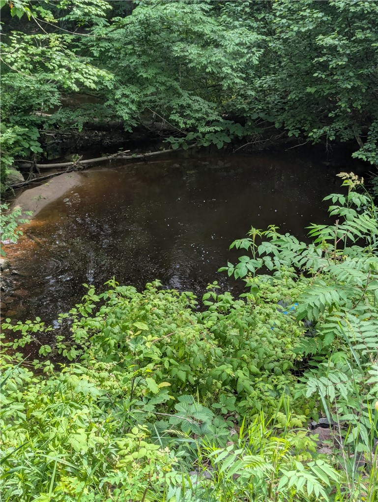Lot 1 165th Avenue Property Photo 11
