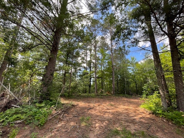 0 Highway 63 Property Photo 5
