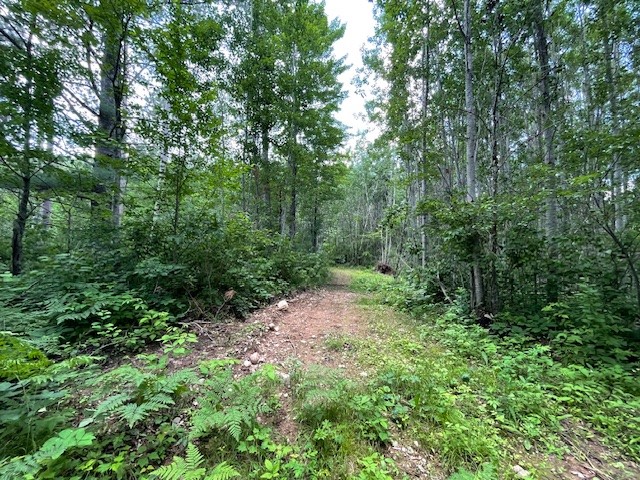 0 Highway 63 Property Photo 6
