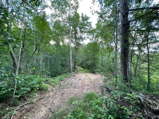 0 Highway 63 Property Photo 7