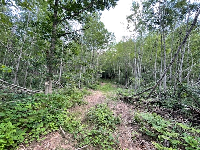 0 Highway 63 Property Photo 8