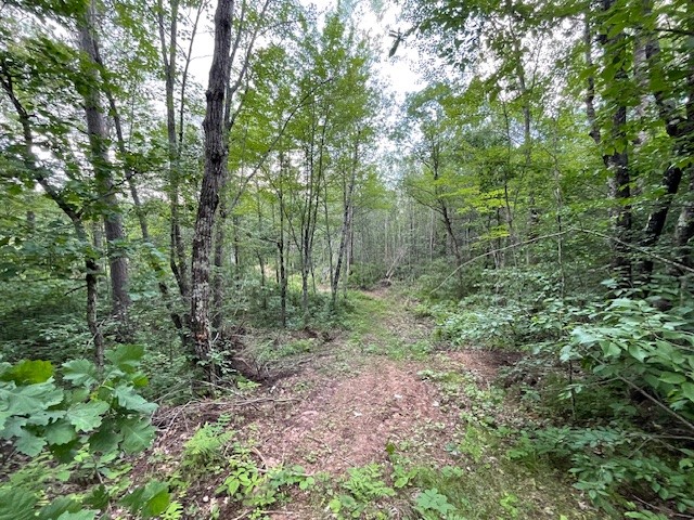 0 Highway 63 Property Photo 9